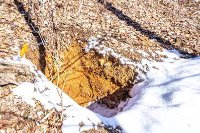 1201 Simms Fork Road, Burnsville, NC 28714 - Photo 26