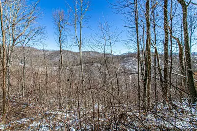 1201 Simms Fork Road, Burnsville, NC 28714 - Photo 22