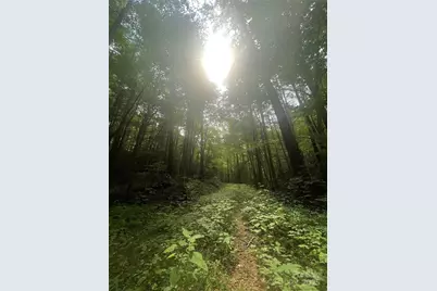 1201 Simms Fork Road, Burnsville, NC 28714 - Photo 6