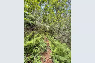 1201 Simms Fork Road, Burnsville, NC 28714 - Photo 8