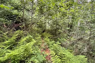 1201 Simms Fork Rd, Burnsville, NC 28714 - Photo 8