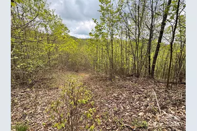 1201 Simms Fork Road, Burnsville, NC 28714 - Photo 14