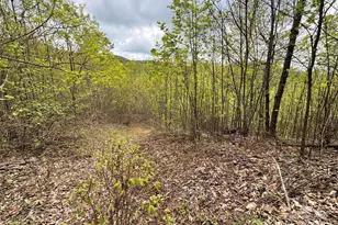 1201 Simms Fork Rd, Burnsville, NC 28714 - Photo 14