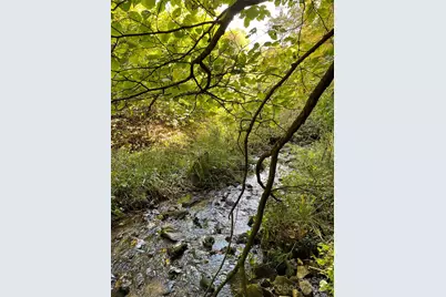 1201 Simms Fork Road, Burnsville, NC 28714 - Photo 4