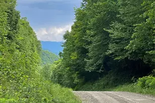 1201 Simms Fork Rd, Burnsville, NC 28714 - Photo 2