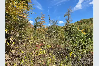 1201 Simms Fork Road, Burnsville, NC 28714 - Photo 12