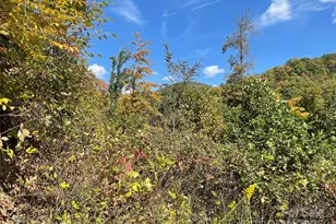 1201 Simms Fork Rd, Burnsville, NC 28714 - Photo 12