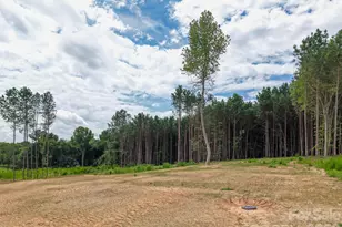 4251 Candlewood Dr, Sherrills Ford, NC 28673 - Photo 48