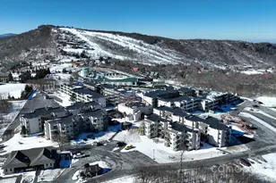 301 Pinnacle Inn Rd, Beech Mountain, NC 28604 - Photo 32