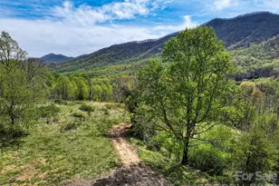 1567 Newfound Rd, Leicester, NC 28748 - Photo 42