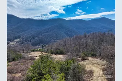 1567 Newfound Road, Leicester, NC 28748 - Photo 38