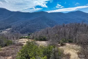 1567 Newfound Rd, Leicester, NC 28748 - Photo 38