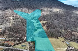 1567 Newfound Rd, Leicester, NC 28748 - Photo 2