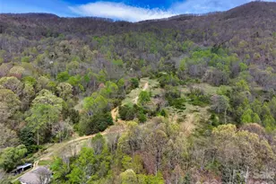 1567 Newfound Rd, Leicester, NC 28748 - Photo 12