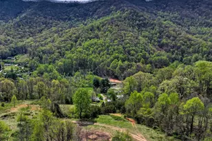 1567 Newfound Rd, Leicester, NC 28748 - Photo 44