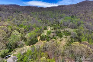 1567 Newfound Rd, Leicester, NC 28748 - Photo 12