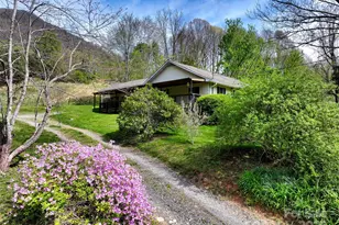 1567 Newfound Rd, Leicester, NC 28748 - Photo 6