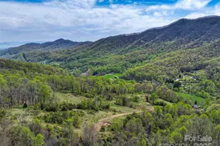 1567 Newfound Rd, Leicester, NC 28748 - Photo 8