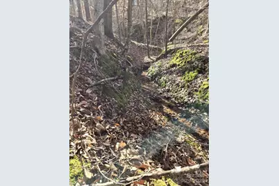 109 Nc Highway 109 Highway N, Wadesboro, NC 28170 - Photo 10