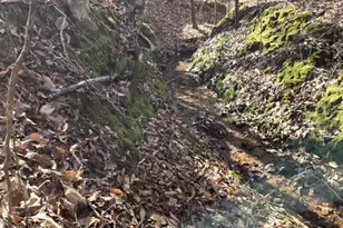 109 Nc Hwy 109 Hwy N, Wadesboro, NC 28170 - Photo 10