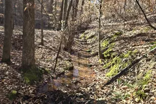 109 Nc Hwy 109 Hwy N, Wadesboro, NC 28170 - Photo 12