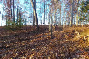 7210 Mission Rd, Mount Pleasant, NC 28124 - Photo 2