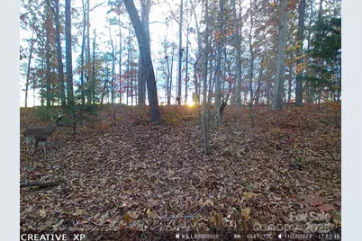 7210 Mission Road, Mount Pleasant, NC 28124 - Photo 14