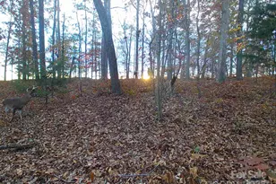 7210 Mission Rd, Mount Pleasant, NC 28124 - Photo 14