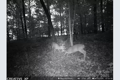 7210 Mission Road, Mount Pleasant, NC 28124 - Photo 12