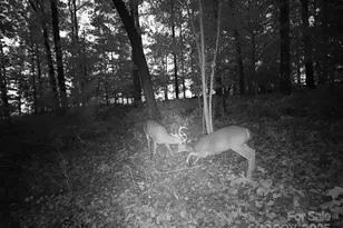 7210 Mission Rd, Mount Pleasant, NC 28124 - Photo 12