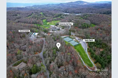 3703 Connestee Trail, Brevard, NC 28712 - Photo 4