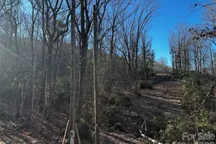 3161 Morganton Furniture Rd, Valdese, NC 28690 - Photo 36