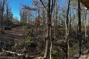 3161 Morganton Furniture Rd, Valdese, NC 28690 - Photo 34