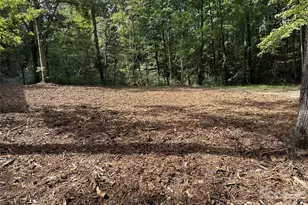 3161 Morganton Furniture Rd, Valdese, NC 28690 - Photo 10