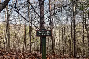 0000 Stepp Ridge Ct, Hendersonville, NC 28792 - Photo 1