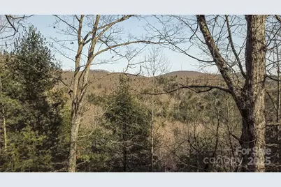 0000 Stepp Ridge Court, Hendersonville, NC 28792 - Photo 8