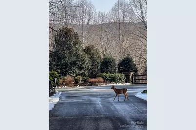 0000 Stepp Ridge Court, Hendersonville, NC 28792 - Photo 18