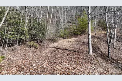 Lot 11 Bernies Trail, Waynesville, NC 28785 - Photo 20