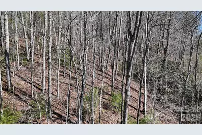 Lot 11 Bernies Trail, Waynesville, NC 28785 - Photo 22