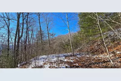 Lot 11 Bernies Trail, Waynesville, NC 28785 - Photo 14