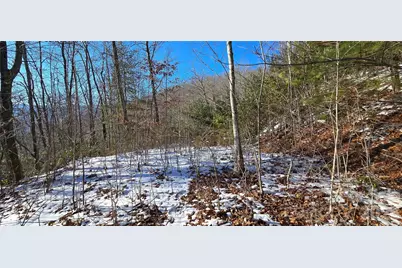 Lot 11 Bernies Trail, Waynesville, NC 28785 - Photo 1