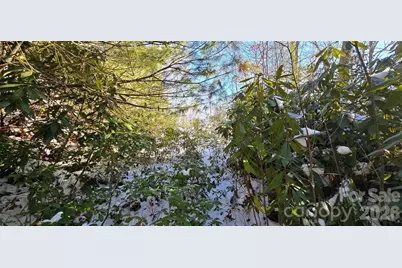 Lot 11 Bernies Trail, Waynesville, NC 28785 - Photo 10