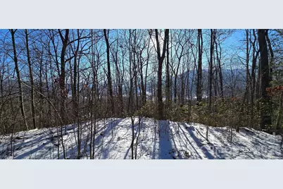 Lot 11 Bernies Trail, Waynesville, NC 28785 - Photo 2