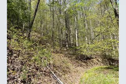 00 Hidden Trail, Franklin, NC 28734 - Photo 10