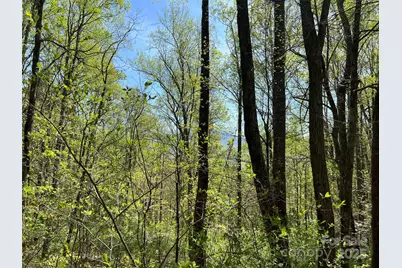 00 Hidden Trail, Franklin, NC 28734 - Photo 8