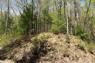 00 Hidden Trail, Franklin, NC 28734 - Photo 1