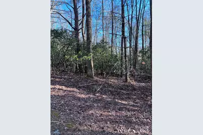 L26 Konnaneeta Trail #U03 L026, Brevard, NC 28712 - Photo 12