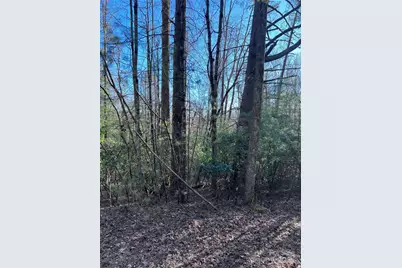 L26 Konnaneeta Trail #U03 L026, Brevard, NC 28712 - Photo 2