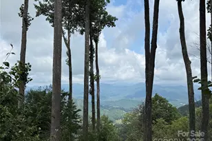 528 Andrew Banks Rd, Burnsville, NC 28714 - Photo 2