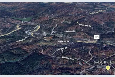 0 Birddog Boulevard #328, Lake Lure, NC 28746 - Photo 12